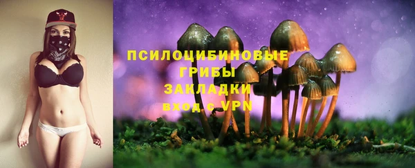 амфетамин Алексеевка