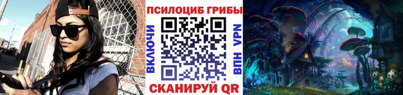 дарк нет состав  Куртамыш  Псилоцибиновые грибы прущие грибы 